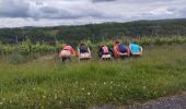 Randonnée Marche Trespoux-Rassiels - filles de manu  - Photo 5