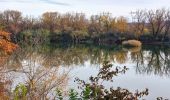 Randonnée Marche Châteauneuf-du-Rhône - Châteauneuf-du-Rhône Les Iles 6km - Photo 2