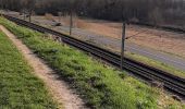 Tour Wandern Neuvy-sur-Loire - neuvy dur loire - Photo 2