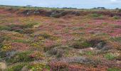 Trail Walking Camaret-sur-Mer - T-St-Julien - Photo 1