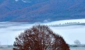 Tour Zu Fuß Alpago - Sentiero naturalistico A - Photo 4