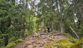 Trail Walking Chamonix-Mont-Blanc - J11 - R9 - Montroc - Le Tour - Petit Balcon Nord  - Photo 4