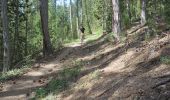 Tour Mountainbike Barcelonnette - Le Bonnet Vert VTT - Photo 1