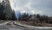 Trail Walking Saint-Hubert - rando fourneau st michel 28-11-2023 - Photo 1