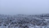 Trail Walking Theux - dans le givre de Crambon  - Photo 2