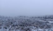 Randonnée Marche Theux - dans le givre de Crambon  - Photo 2