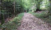 Randonnée Marche Ouhans - RANDONNEE A LA SOURCE DE LA LOUE - Photo 2