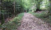 Trail Walking Ouhans - RANDONNEE A LA SOURCE DE LA LOUE - Photo 2