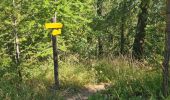 Trail Walking Saint-Paul-sur-Ubaye - le tour de tournoux  - Photo 20