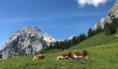 Tocht Te voet Ramsau bei Berchtesgaden - Wanderweg 63 - Photo 5