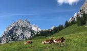 Tour Zu Fuß Ramsau bei Berchtesgaden - Wanderweg 63 - Photo 5