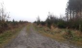 Trail Walking Theux - autour de bronromme et monthouet  - Photo 12