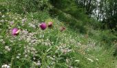 Trail Walking Le Saix - Le Fai - Lac de Peyssier - Photo 13