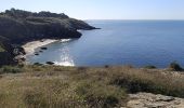 Excursión Senderismo Saint-Gildas-de-Rhuys - pointe du grand Mont - Photo 8