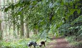 Randonnée Marche Étalle - Etalle - cani-balade - Photo 2