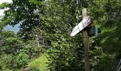 Tocht Te voet Chiusaforte - IT-620 - Photo 2