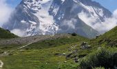 Randonnée Marche Pralognan-la-Vanoise - le lac de la patinoire - Photo 5