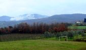 Tocht Te voet Figline e Incisa Valdarno - IT-G2 - Photo 3