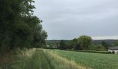 Tour Wandern Arel - 33.419 Arlon - Circuit Eischen - Bois du Moulin - Photo 10