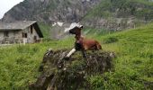 Tocht Stappen La Giettaz - Le chalet du curé  - Photo 4