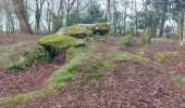 Trail Walking Locoal-Mendon - PR_56_Locoal-Mendon_AA_01_Ty-Er-Chir-Kernous_Circuit1b_20240107 - Photo 11