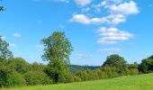 Randonnée Marche Neupré - contreforts de la boucle de l’ourthe - Photo 15