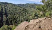 Randonnée Marche Houffalize - Sandrine: le hérou et le chesle  - Photo 18