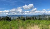 Tour Mountainbike Saint-Cyr-le-Chatoux - La cantinière  - Photo 1