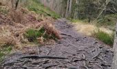 Tour Wandern Jalhay - pont de belle heid la vallée de la hoegne - Photo 15