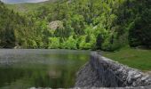 Tour Wandern Xonrupt-Longemer - retournemer hohnech schiesrothried blanchemer et lande  - Photo 13