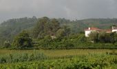 Tour Zu Fuß Sobretâmega - PR5 Caminhos de Canaveses - Photo 2