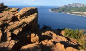 Excursión Senderismo Cassis - Pas de la Colle - Falaises Soubeyranes - Sémaphore du Bec de l'Aigle - Anse de Figuerolles - Parc Mugel - La Ciotat - Photo 19