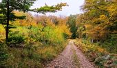 Trail Walking Jalhay - Promenade du Grand Lys  - Photo 2