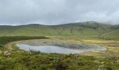 Tour Wandern Fajã Grande - Le tour des lacs de cratère à Flores - Photo 8