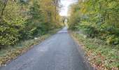 Randonnée Marche Saint-Jean-aux-Bois - 53_10_2025_autour des Grands Monts - Photo 19