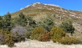 Excursión Senderismo Castellane - Chasteuil (04) ; Cadières de Brandis - Photo 20