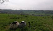 Tocht Noords wandelen Doische - Adeps Gochenée  - Photo 6