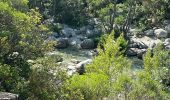 Trail Walking Venaco - Venez-vous - Photo 1