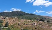 Randonnée Marche Mont Lozère et Goulet - Etape 6 le Bleymard  / Pont Montvert - Photo 4