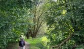 Randonnée Marche Huldenberg - Huldenberg Terlanen site naturel Lasne - Photo 1