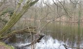 Tocht Stappen Tervuren - 2020-03-15 - Tervuren - Étangs de Vossem - Photo 9