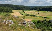 Tocht Te voet Lichtenfels - Verbindungsweg Köttel - Hoher Bühl - Photo 3