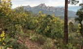 Trail On foot Roquebrune-sur-Argens - Lac des Clos-Roquebrune/Argens-01-03-23 - Photo 7