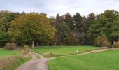 Excursión Senderismo Beauraing - Balade de Pondrôme à Revogne - Photo 7