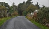 Tour Zu Fuß Westport-Belmullet Municipal District - Lookout Hill Loop Walk - Photo 2