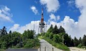 Percorso Bici da strada Le Bourget-du-Lac - Le relais du Mont du Chat - Photo 2