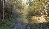 Randonnée Marche Doische - Balade de Soulme à Gochenée - Photo 2