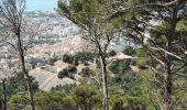 Tour Wandern Toulon - Le Faron-13-04-22 - Photo 6