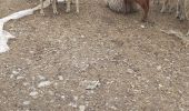 Trail Walking Embrun - embrun - Photo 4
