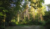Trail Walking Choisy-au-Bac - en forêt de Laigue_5_09_2019_Mont Moyen_Queue du Bois_Plates Noues - Photo 3